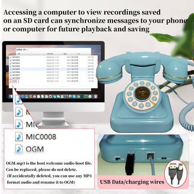 USB 호환된 게스트북 전화 버튼 디자인 음성 메일 오디오 게스트북 ODM